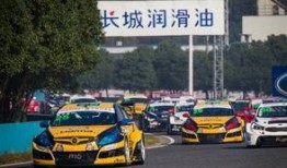 湖北新闻爆料小黄车,揭秘共享单车乱象背后的真相